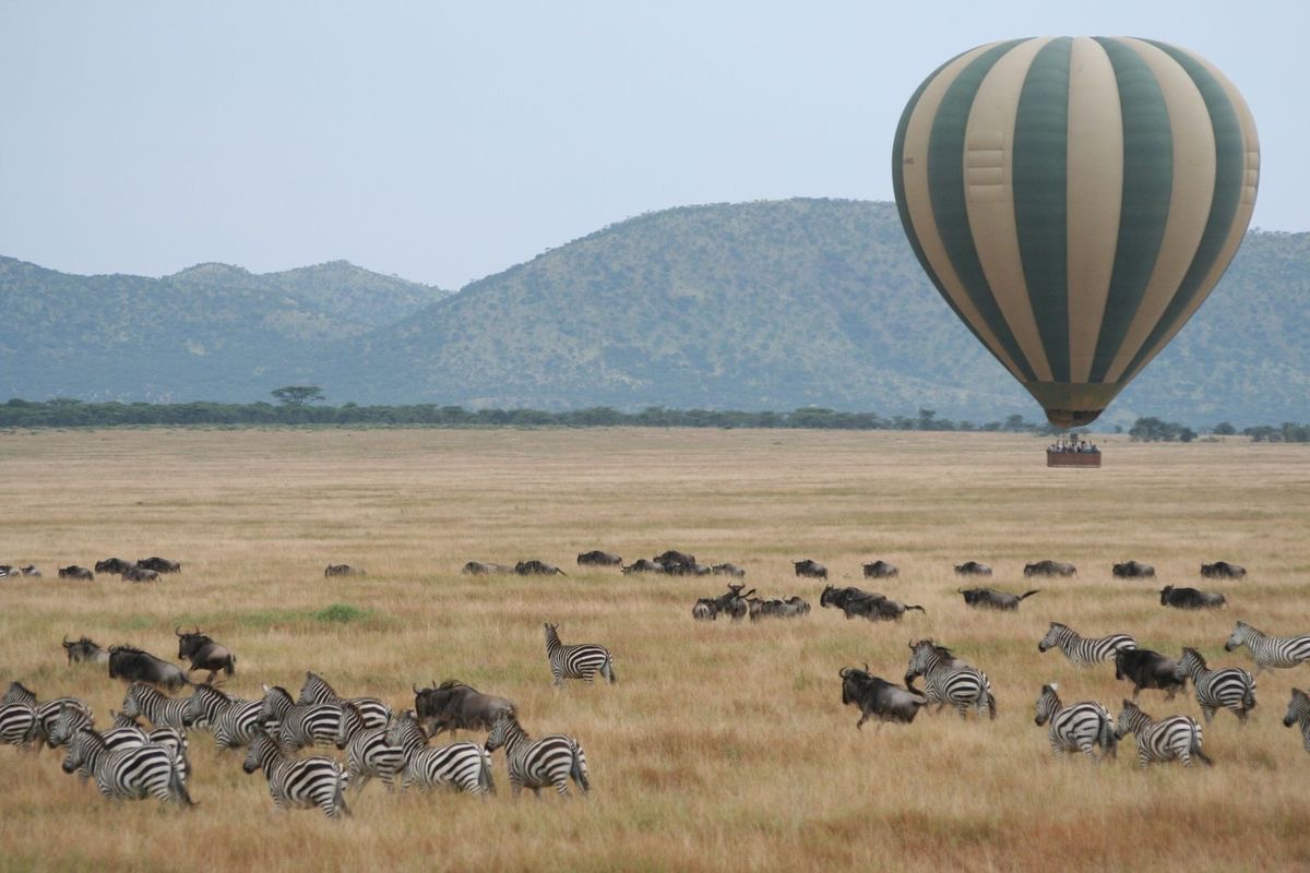 Areno-Hot air balloons 